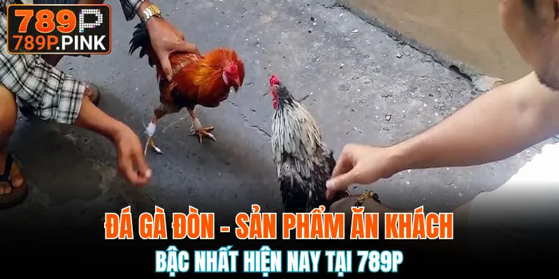 Đá gà đòn